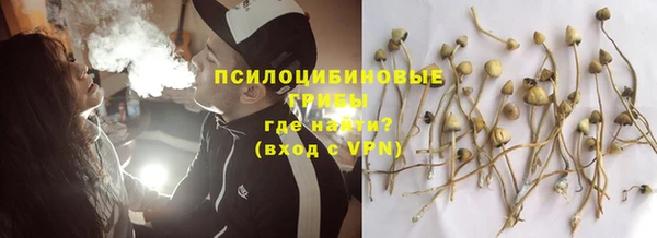 прущие крисы Аркадак