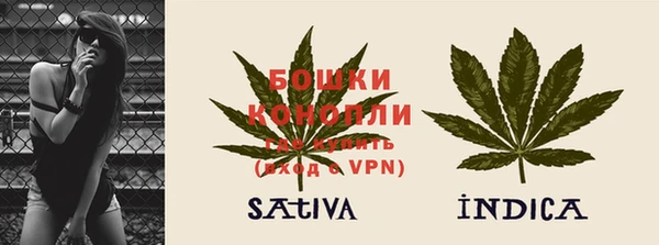 тгк Нея