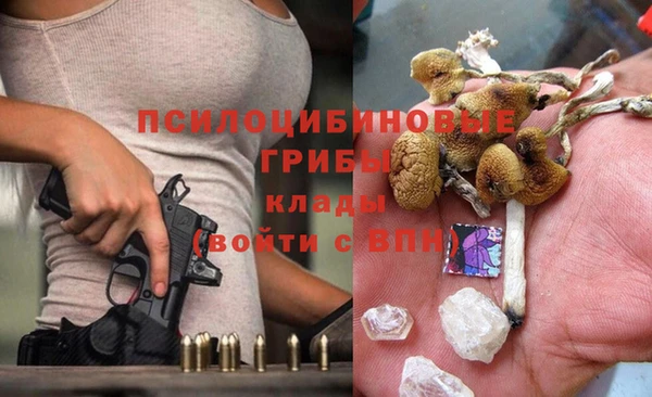 Альфа ПВП Армянск