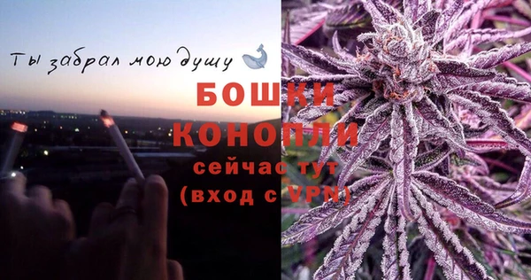 эйфоретик Арсеньев
