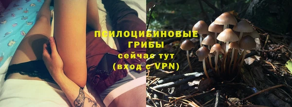 прущие крисы Аркадак