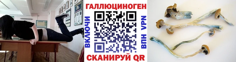 Галлюциногенные грибы мицелий  Ак-Довурак 